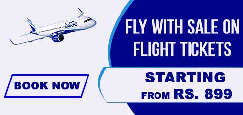 Indigo Best offer